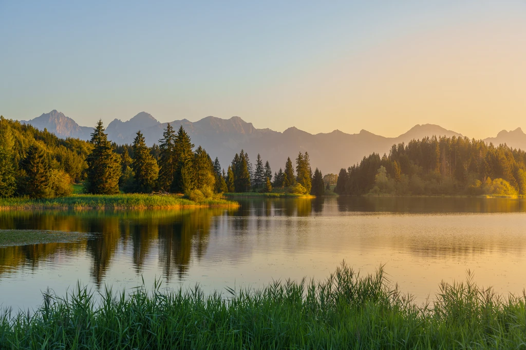 Golden Hour at Forggensee